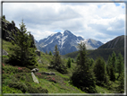 foto Malga Val Cion